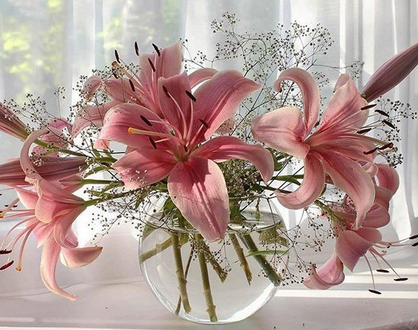 Наш салон цветов в Казани предлагает к покупке только лучшие сорта королевских лилий.