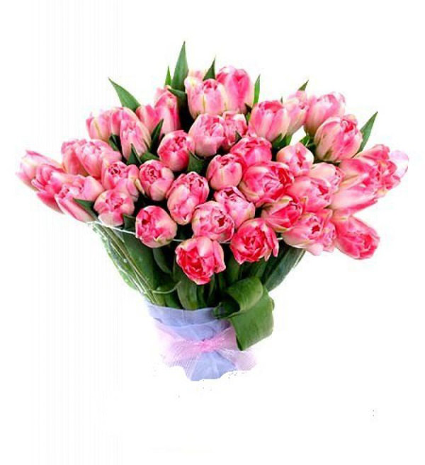 Розовые цветы символизируют любовь, молодость и нежность.