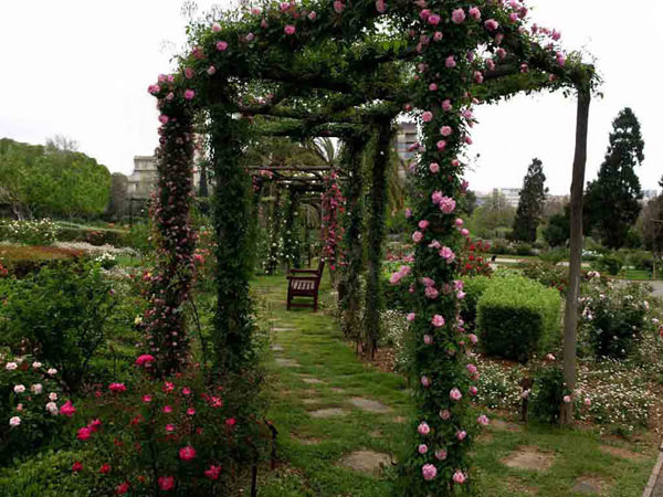 Цвет роз в букете парка Сервантеса круглый год разный.