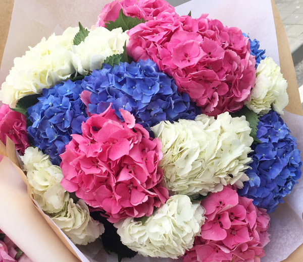 Заказать доставку цветов гортензии для 1 сентября можно в мастерской флористики «Парижанка».