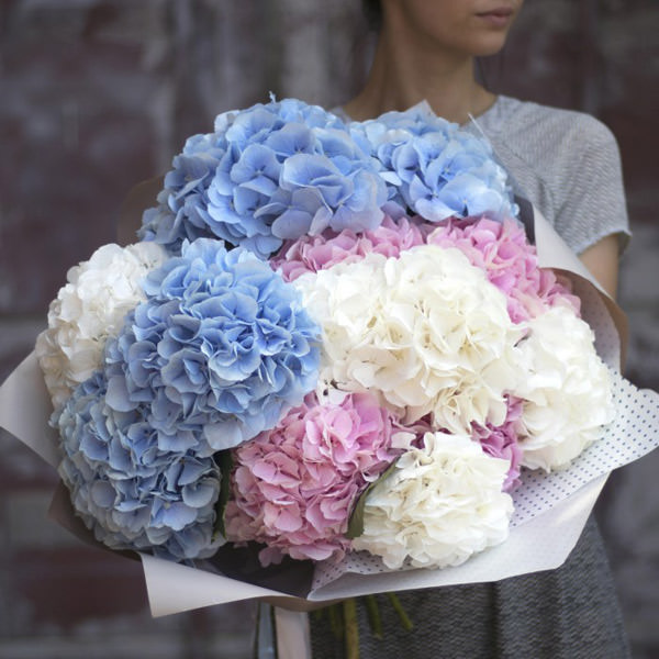 Закажите доставку цветов в Казани по адресу – микс из голубых, розовых и белых гортензий впечатлит любую девушку.
