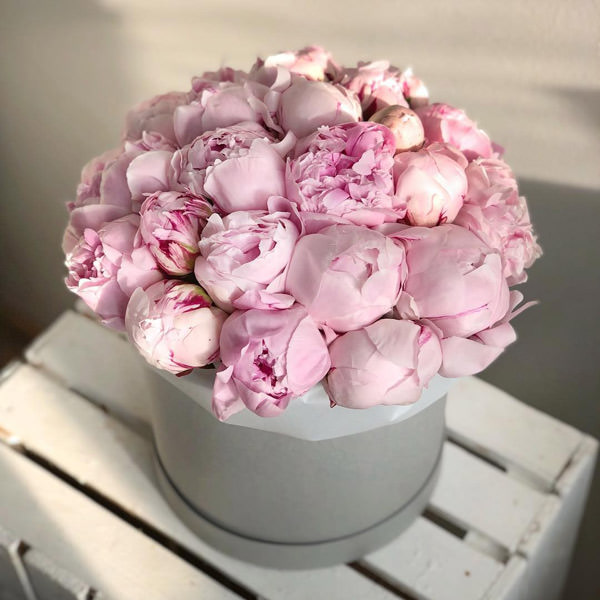 Цветы на доставку в виде монобукета из светло-розовых пионов: нежно и просто.