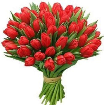 Пионы и другие цветы в Казани по ценам, которые приятно удивят, в магазине «Парижанка».