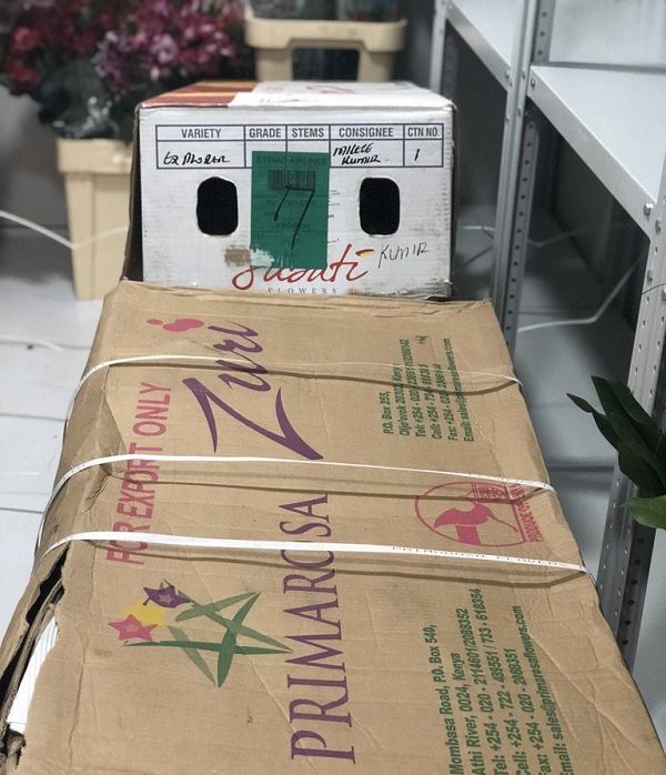 Цветы, упакованные в коробки