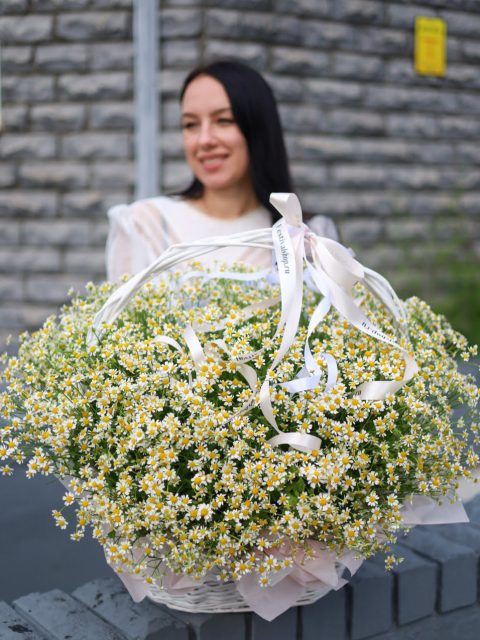 Роскошная корзина ароматных ромашек