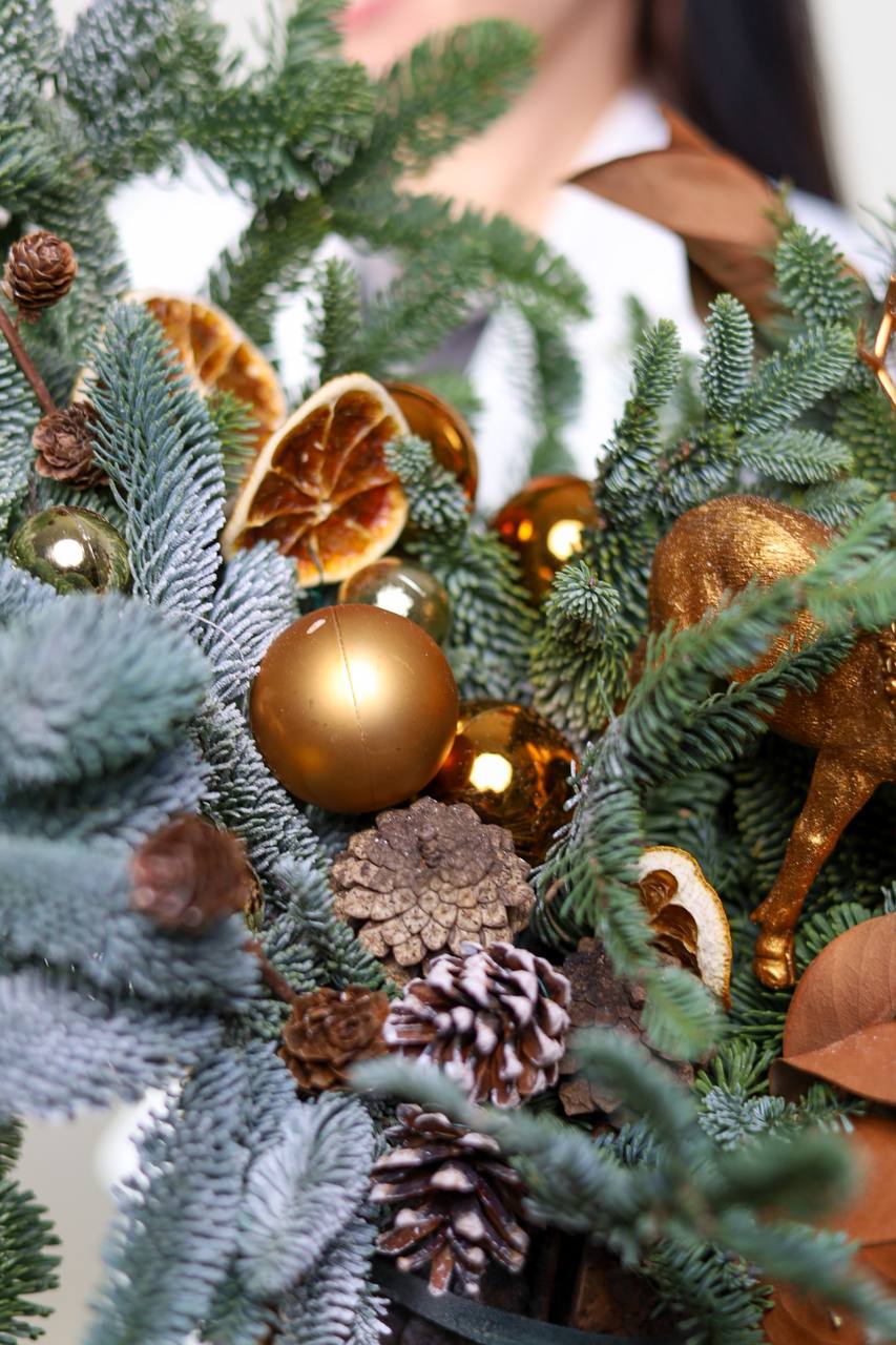 Композиция с нобилисом в деревянном в кашпо — изображение 3