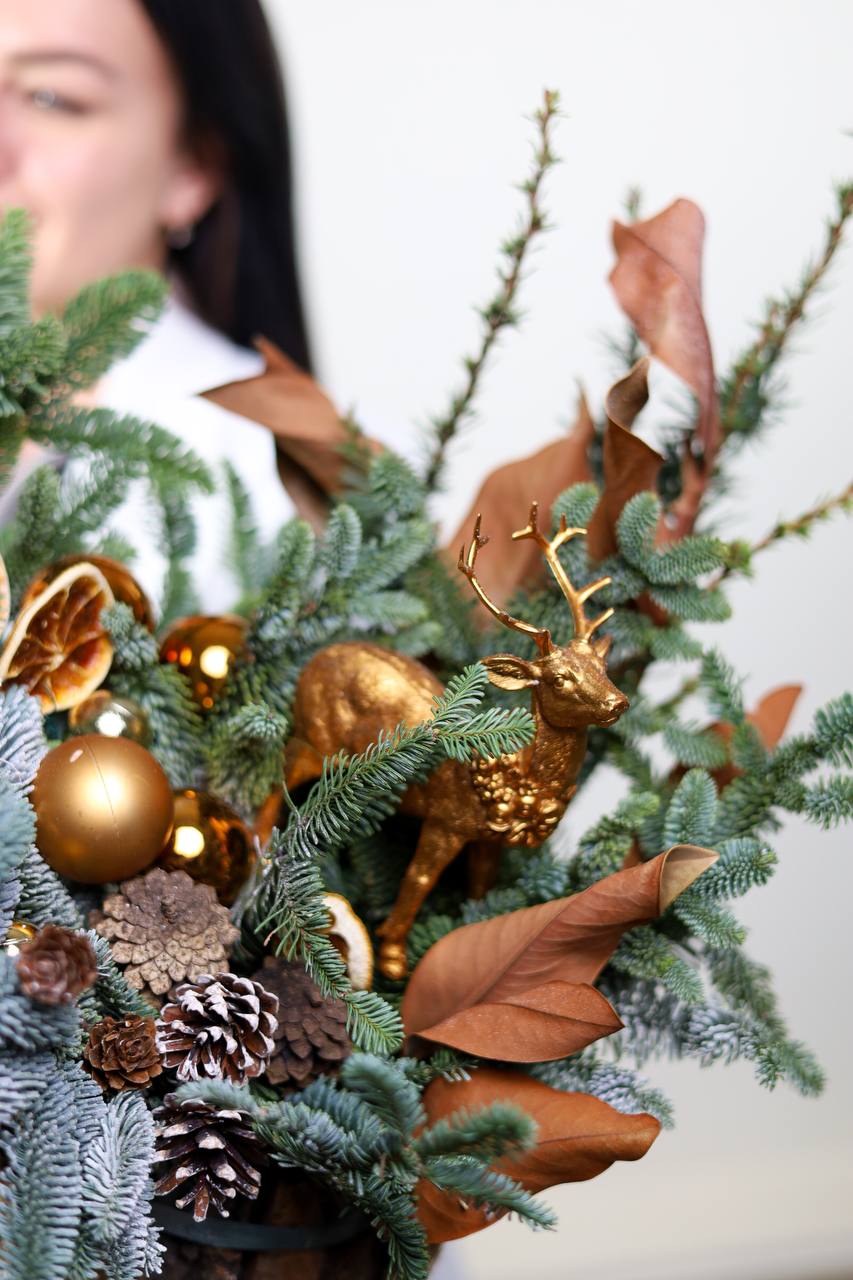 Композиция с нобилисом в деревянном в кашпо — изображение 4