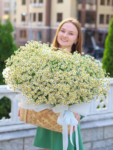 Большая корзина ароматных ромашек