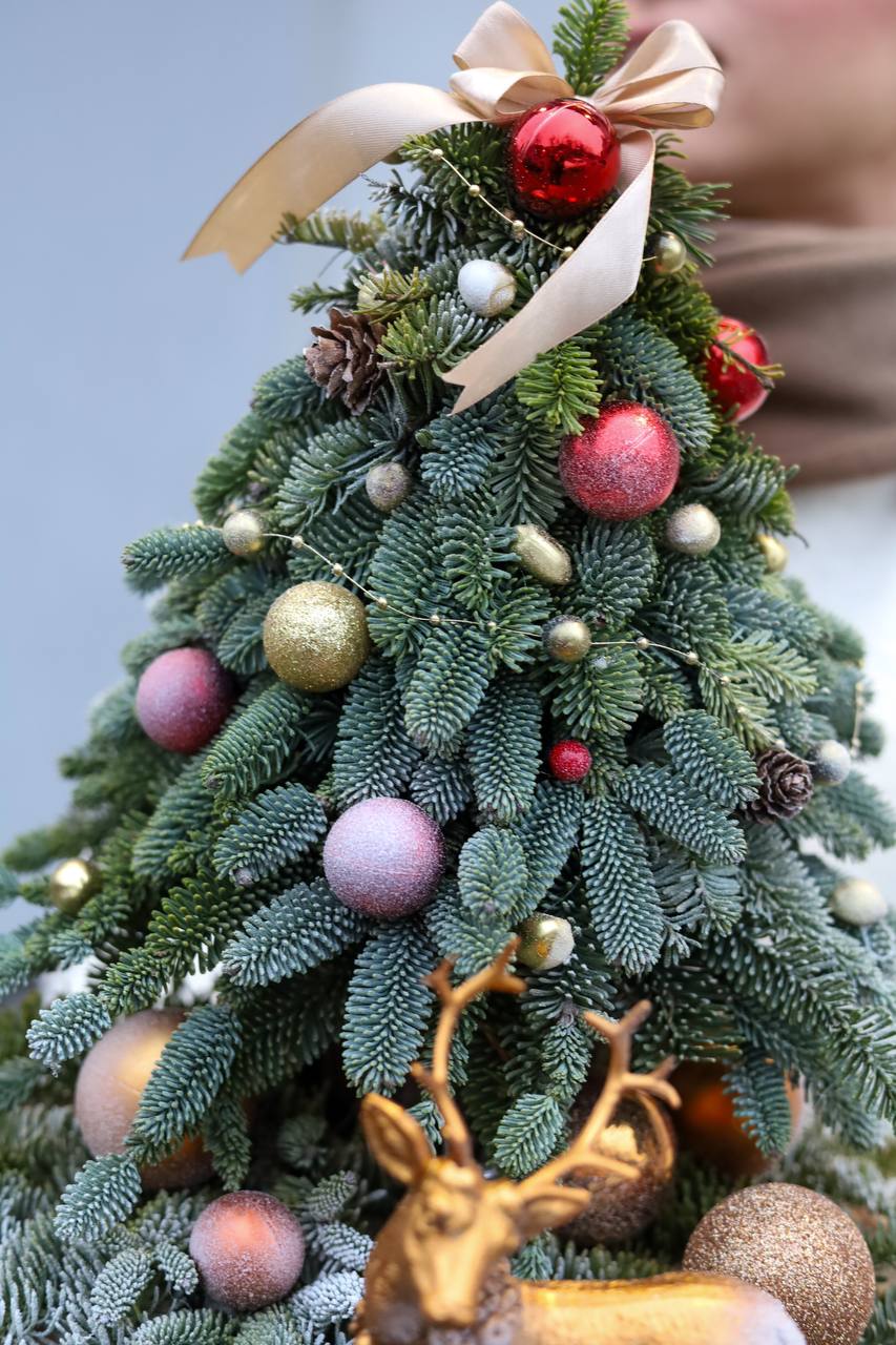 Композиция с елочкой из натуральной пихты — изображение 3