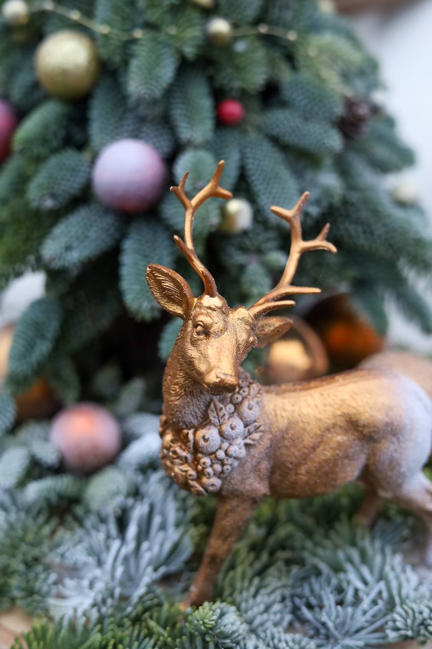 Композиция с елочкой из натуральной пихты — изображение 4