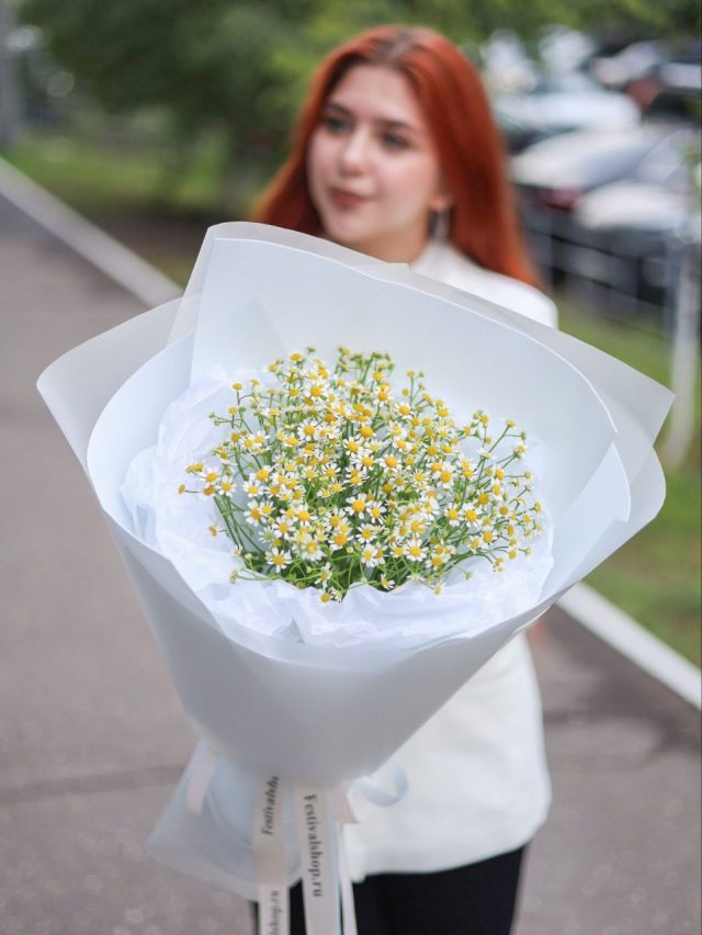Букет ароматных ромашек — изображение 2