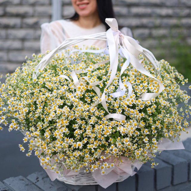 Роскошная корзина ароматных ромашек