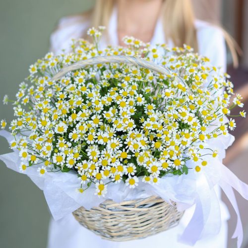 Корзина ароматных ромашек