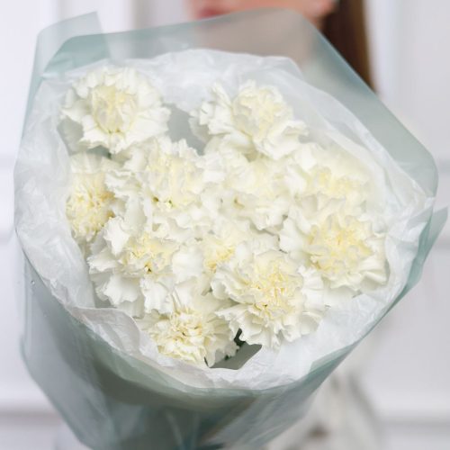 Букет белоснежных диантусов