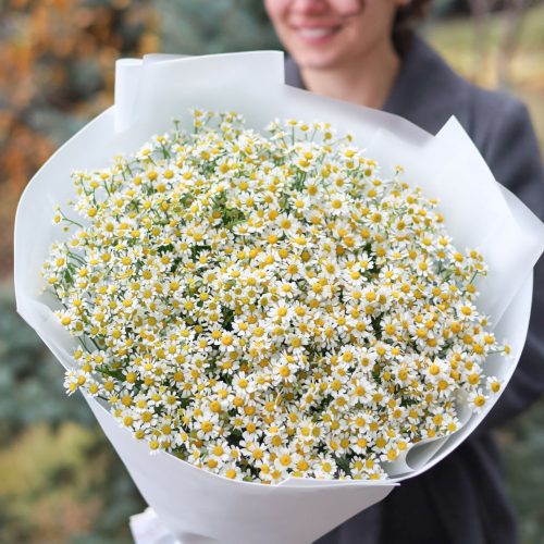 Потрясающий букет ароматных ромашек