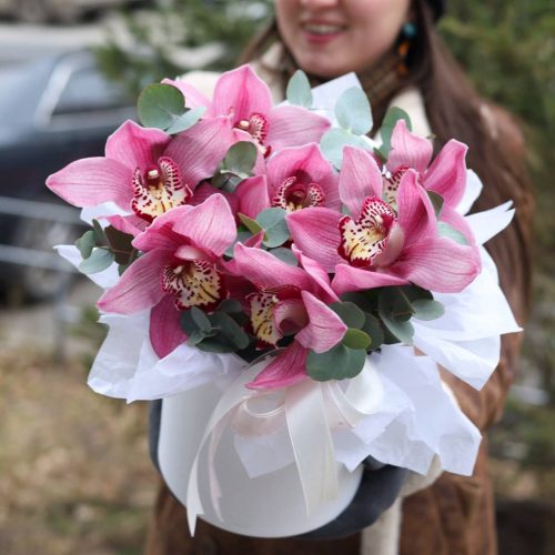 Стойкие орхидеи в шляпной коробке