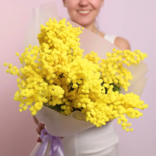 Прекрасный букет солнечной итальянской мимозы